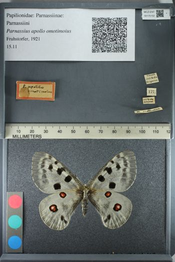 Media type: image;   Entomology 175152